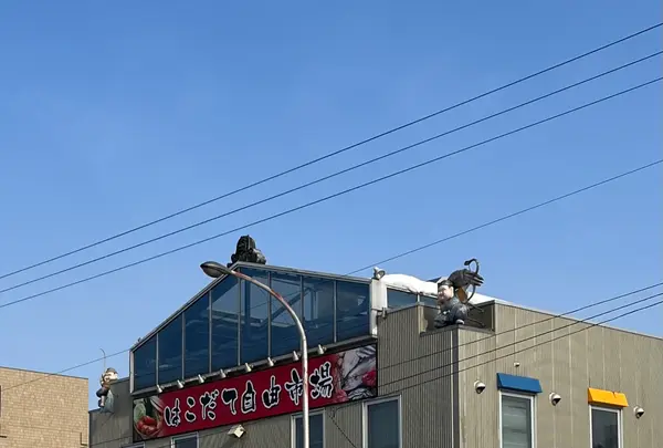 函館自由市場の写真・動画_image_679253