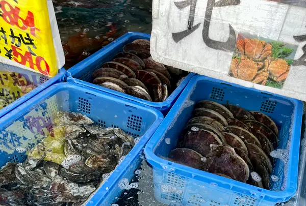 函館朝市の写真・動画_image_679258