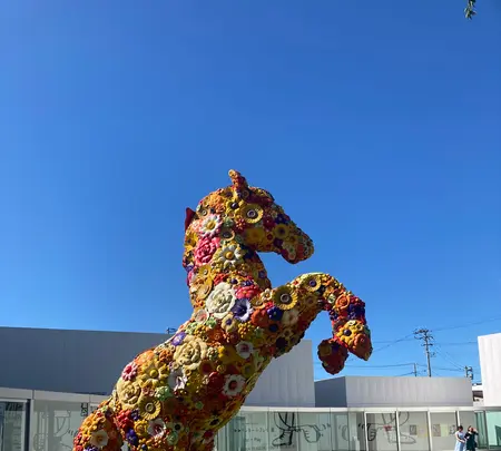 十和田市現代美術館の写真・動画_image_679652