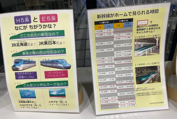 新函館北斗駅の写真・動画_image_680134