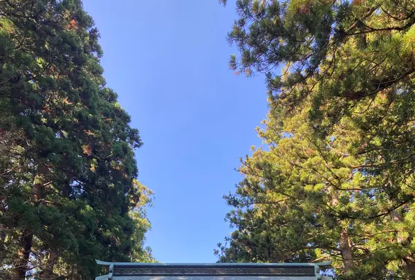 東口本宮冨士浅間神社の写真・動画_image_680519