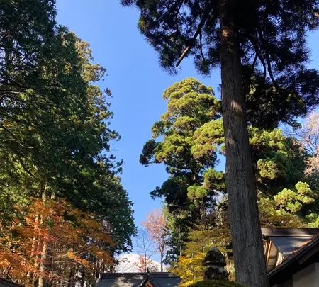 東口本宮冨士浅間神社の写真・動画_image_680520