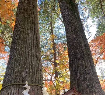 東口本宮冨士浅間神社の写真・動画_image_680521