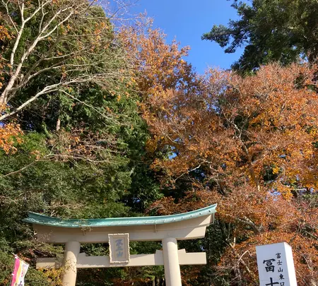 東口本宮冨士浅間神社の写真・動画_image_680522