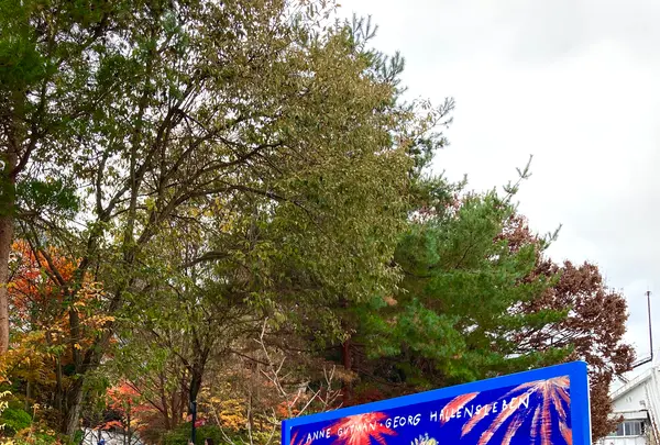 リサとガスパールタウンの写真・動画_image_680557