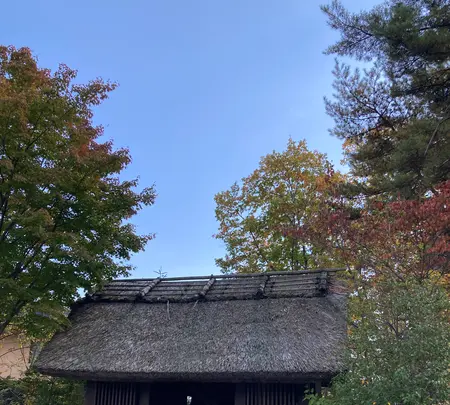 お宿 木の葉の写真・動画_image_680571