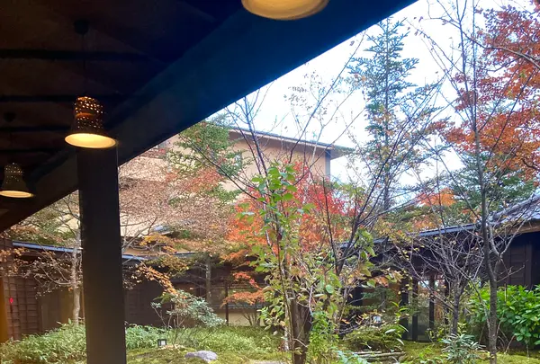 お宿 木の葉の写真・動画_image_680573