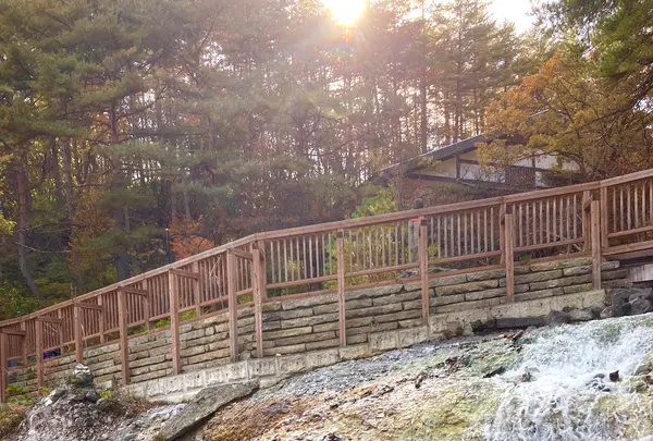 西の河原公園 源泉足湯の写真・動画_image_680613