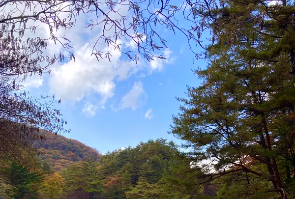 西の河原公園 源泉足湯の写真・動画_image_680614