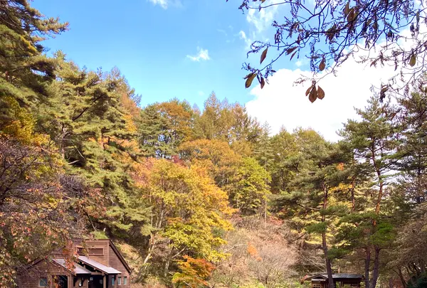 西の河原公園 源泉足湯の写真・動画_image_680615