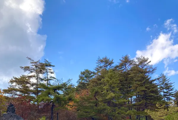 西の河原公園 源泉足湯の写真・動画_image_680616