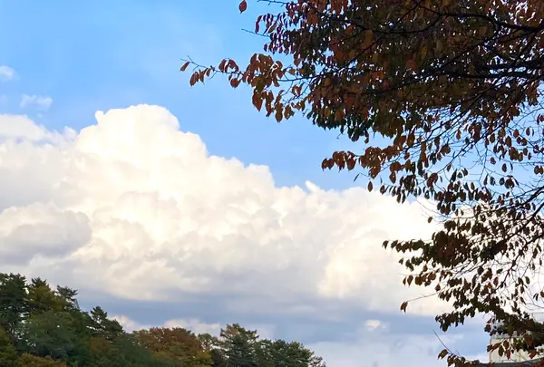 光泉寺の写真・動画_image_680620