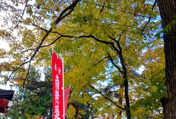 光泉寺の写真・動画_image_680622