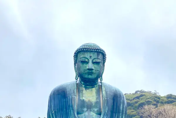鎌倉大仏（高徳院）の写真・動画_image_680667