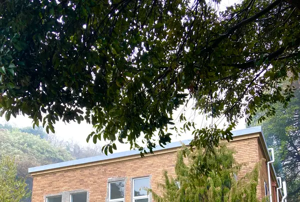 MOKICHI KAMAKURAの写真・動画_image_680681