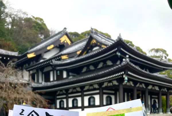 長谷寺の写真・動画_image_680684