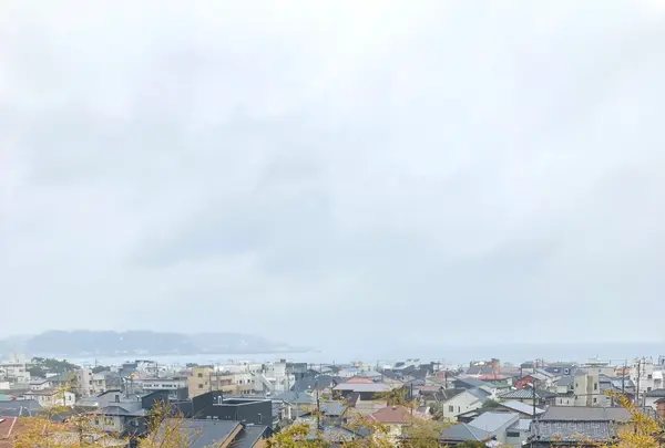 長谷寺の写真・動画_image_680685