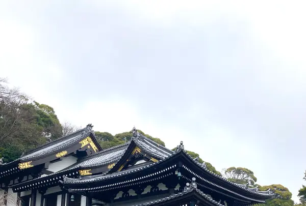長谷寺の写真・動画_image_680691