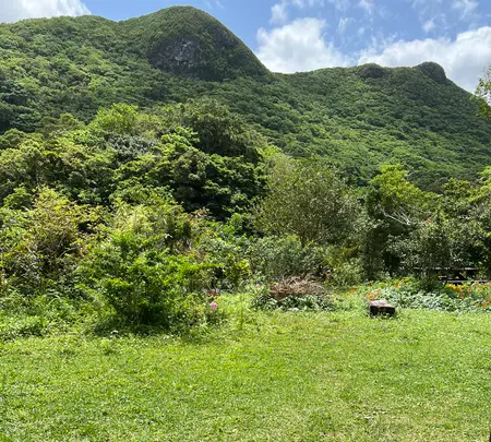 がじまんろーの写真・動画_image_680753