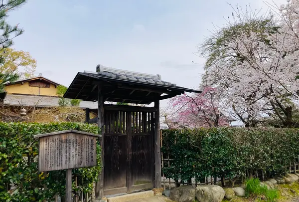 大覚寺の写真・動画_image_681029