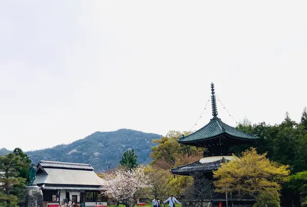 嵯峨釈迦堂（清凉寺）の写真・動画_image_681035