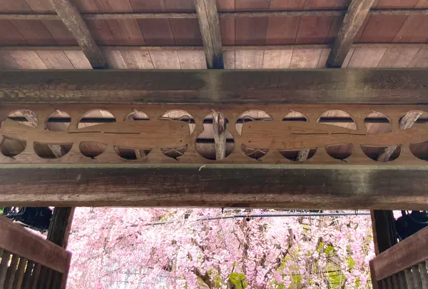 退蔵院の写真・動画_image_681085