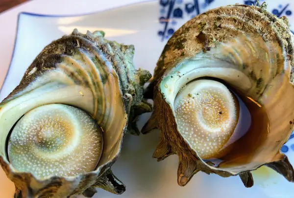 うに清の写真・動画_image_681129