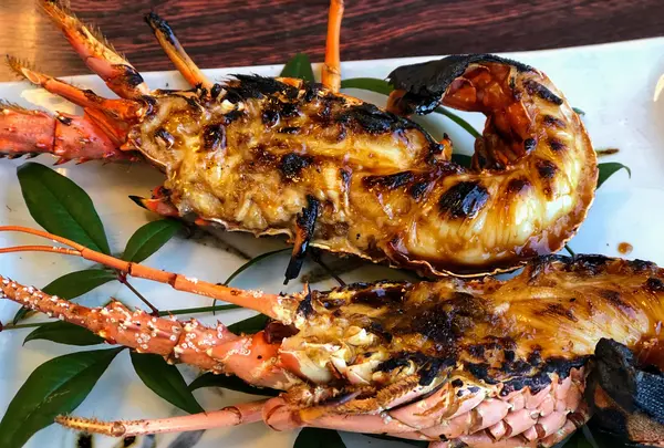 うに清の写真・動画_image_681131