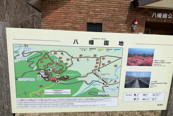 つつじ吊橋の写真・動画_image_681329