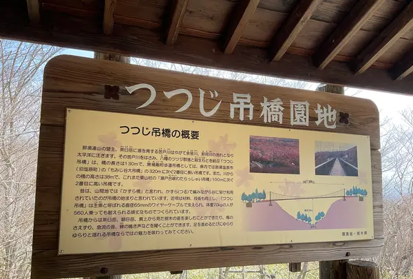 つつじ吊橋の写真・動画_image_681333