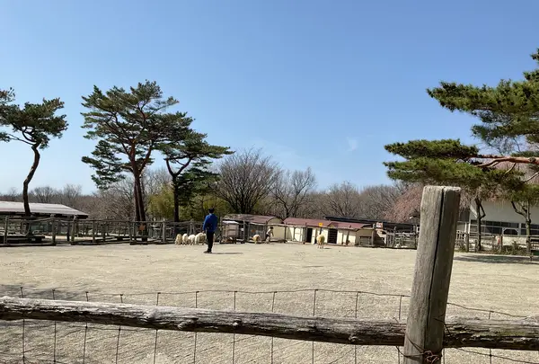 那須高原南ヶ丘牧場の写真・動画_image_681355