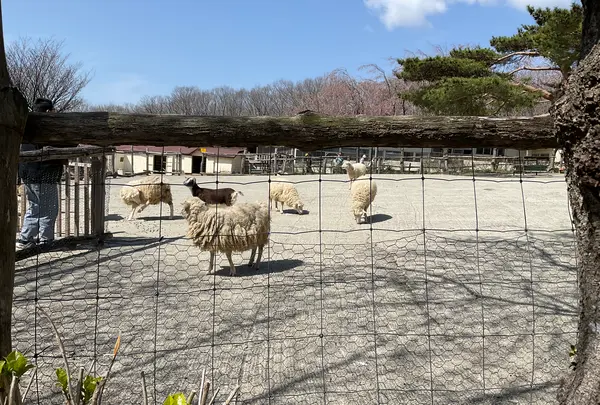 那須高原南ヶ丘牧場の写真・動画_image_681356
