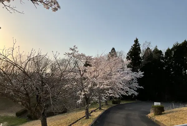 ロイヤルホテル 那須の写真・動画_image_681388