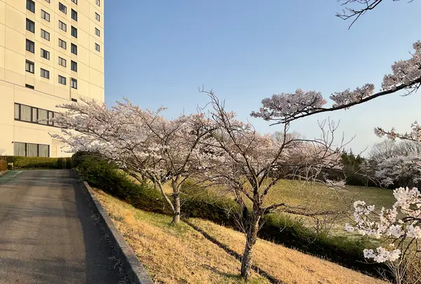 ロイヤルホテル 那須の写真・動画_image_681390