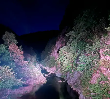 二見吊橋の写真・動画_image_681411