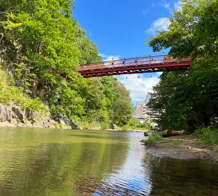 二見吊橋の写真・動画_image_681413