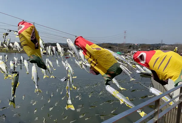 栃木県なかがわ水遊園の写真・動画_image_681614