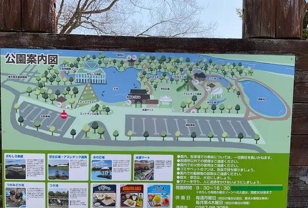 栃木県なかがわ水遊園の写真・動画_image_681615
