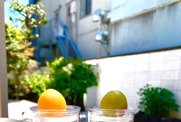 梅体験専門店　蝶屋　鎌倉店の写真・動画_image_682140