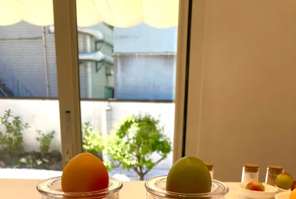 梅体験専門店　蝶屋　鎌倉店の写真・動画_image_682143