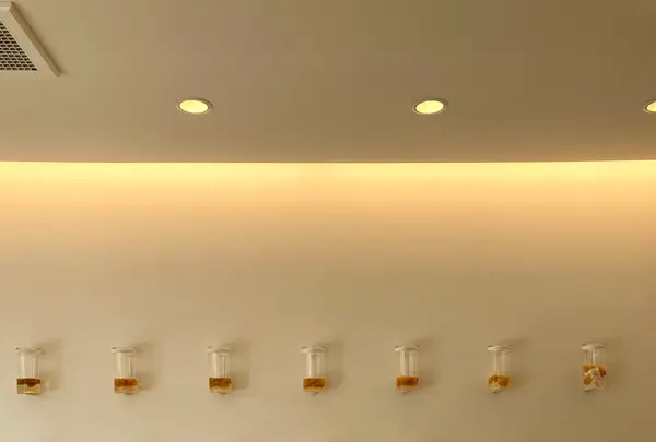 梅体験専門店　蝶屋　鎌倉店の写真・動画_image_682146