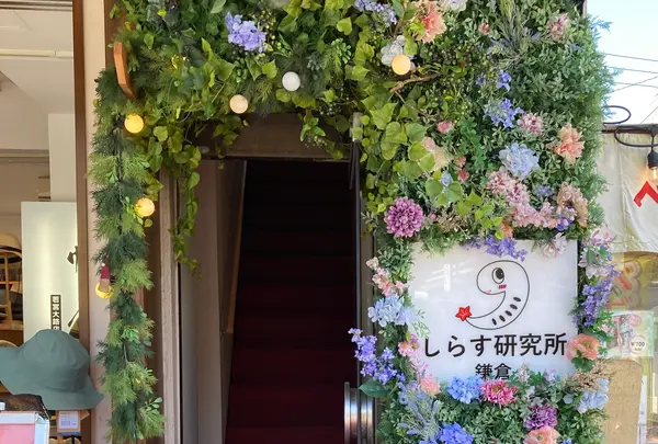 しらす研究所鎌倉の写真・動画_image_682148