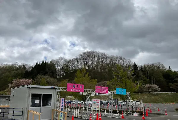 三春滝桜の写真・動画_image_682195