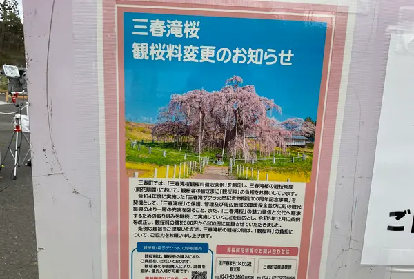 三春滝桜の写真・動画_image_682196