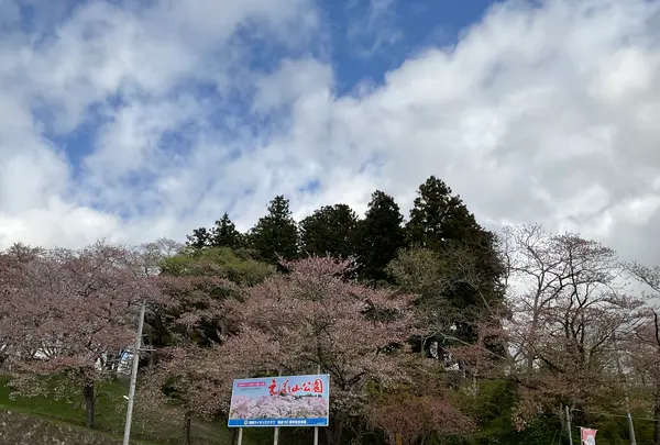 烏帽子山公園の写真・動画_image_682211