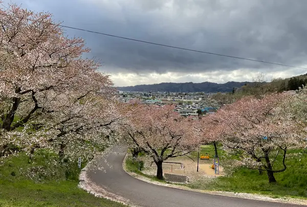 烏帽子山公園の写真・動画_image_682212