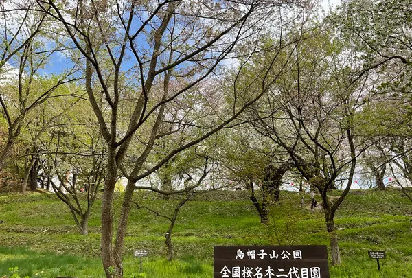 烏帽子山公園の写真・動画_image_682214