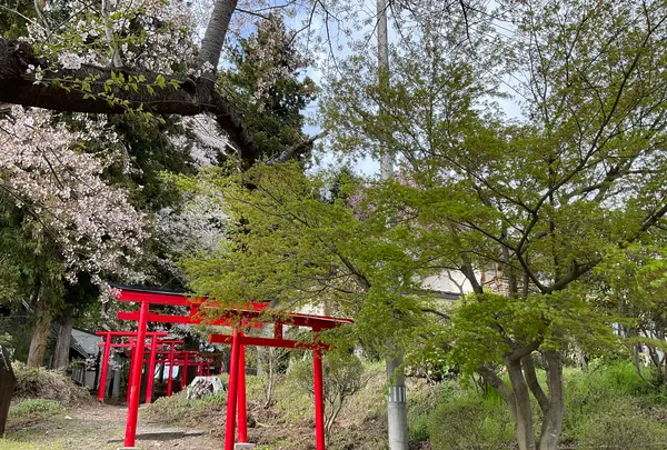 烏帽子山八幡宮の写真・動画_image_682221