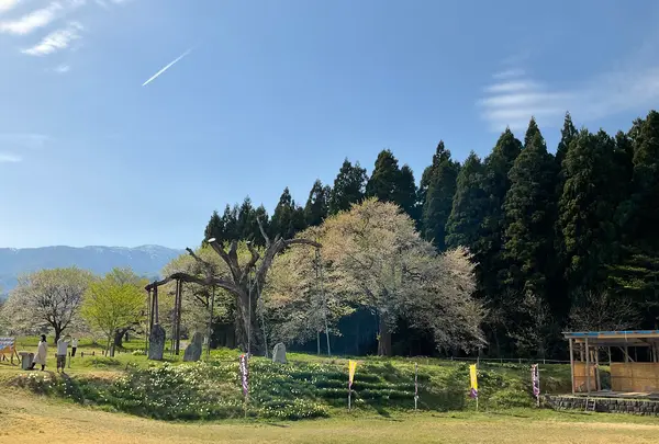 釜の越農村公園の写真・動画_image_682358