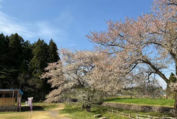 釜の越農村公園の写真・動画_image_682359